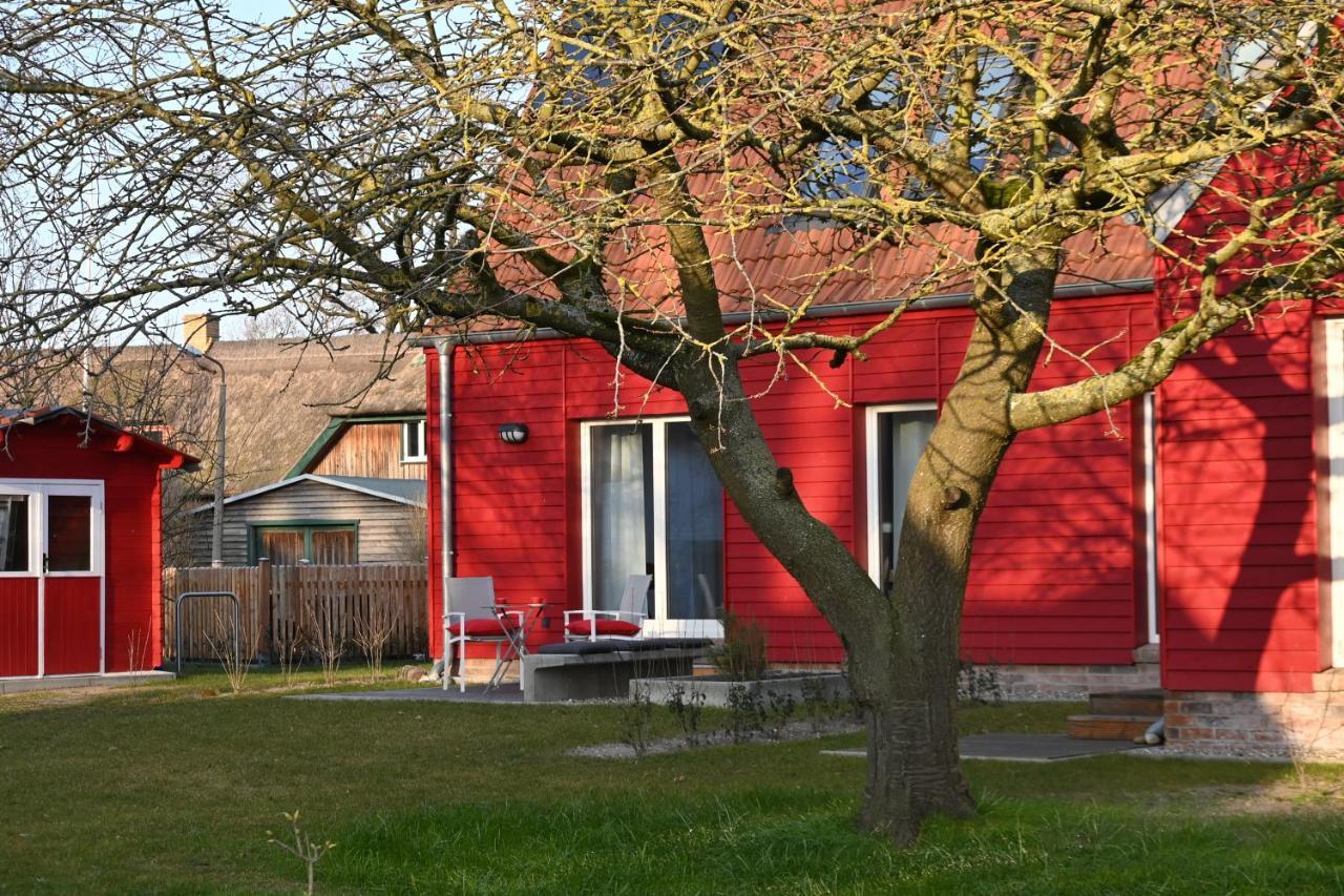 Ferienwohnung Rote Kate Born Exterior foto